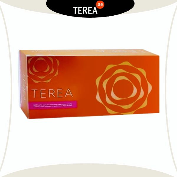 IQOS TEREA AMBER KAZAKHSTAN in UAE