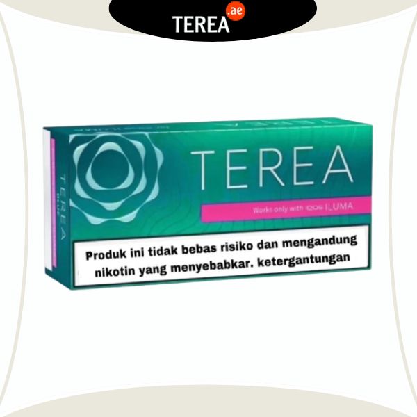 IQOS Terea Black Green Indonesia in UAE