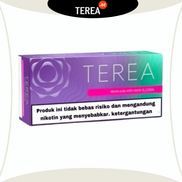 IQOS Terea Purple Wave Indonesia in UAE