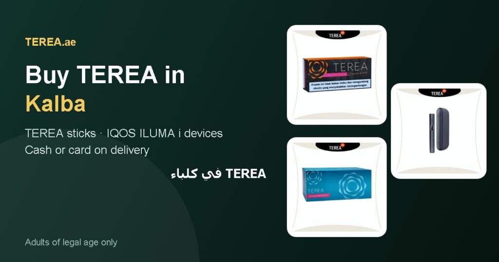 TEREA Kalba: TEREA sticks and IQOS ILUMA i devices with delivery in Kalba, Sharjah, UAE